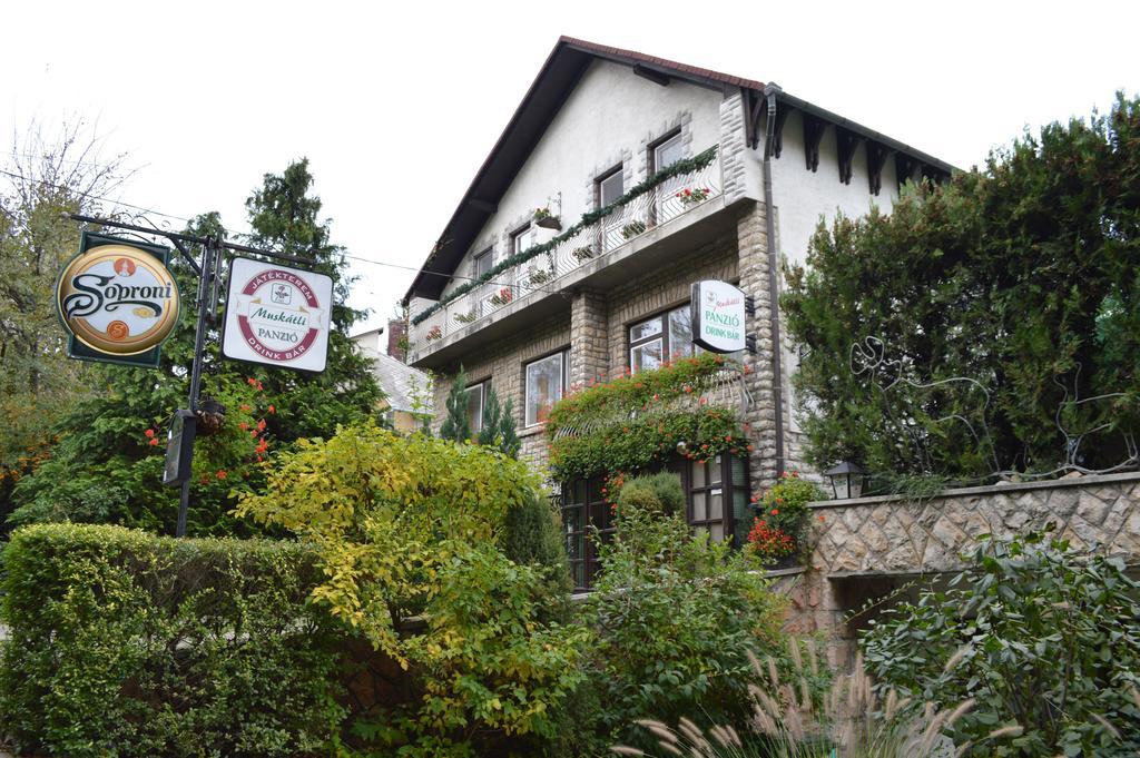 Muskátli Panzió Acomodação com café da manhã Győr Exterior foto