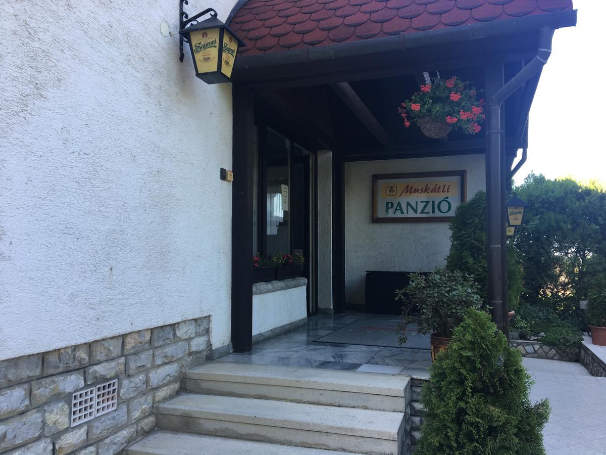 Muskátli Panzió Acomodação com café da manhã Győr Exterior foto